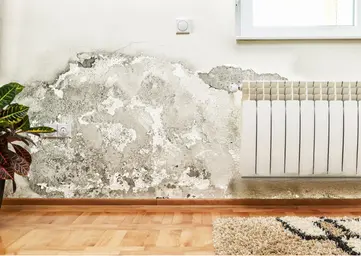 Diagnostics du bâtiment : pathologies, sinistres et suivi de chantier avec malfaçons