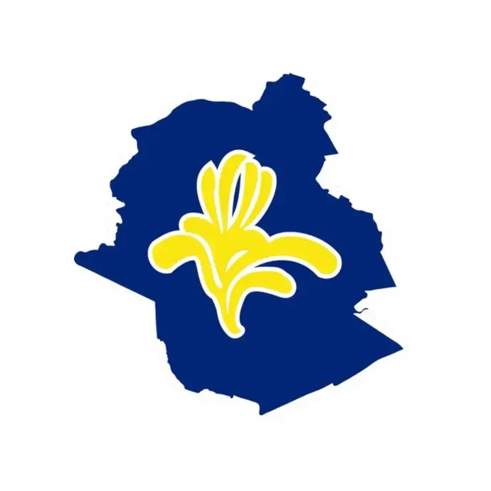 expert_immobilier_bruxelles