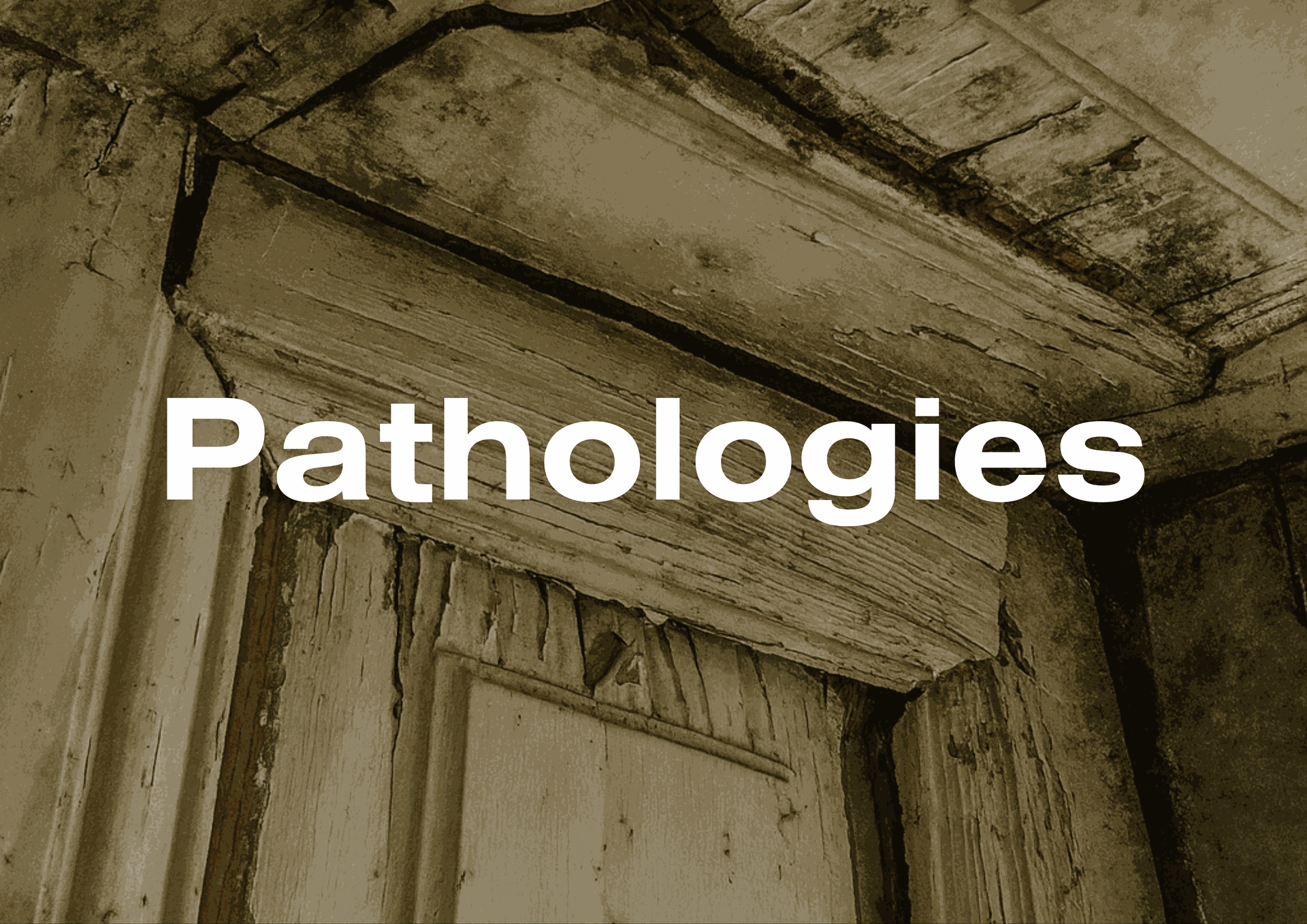 Pathologies : humidité, fissures Pathologies : humidité, fissures